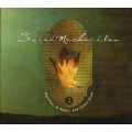 Sarah McLachlan - Rarities, B-Sides, And Other Stuff Volume 2 CD Import