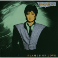Fancy - Flames of Love CD Import