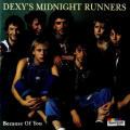 Dexys Midnight Runners - Because of You CD Import