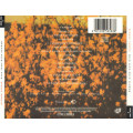 Dionne Farris - Wild Seed - Wild Flower CD