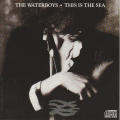 Waterboys - This Is the Sea CD Import