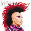 Dead Or Alive - Evolution - The Hits CD Import