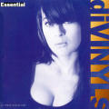Divinyls - Essential CD Import