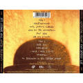 Counting Crows - This Desert Life CD