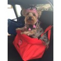 X-Large Car Booster Seat for your pets