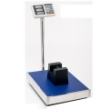 300Kg x 100g/200g Capacity Scale Electronic Platform Scale