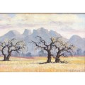 ORIGINAL WELL KNOWN SA ARTIST - PHILIP NEL - LANDSCAPE OIL ON CANVAS ON BOARD SIGNED AND DATED