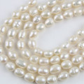 Authentic Freshwater Bean Shaped Pearls with Magnetic Clasp