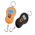 50kg/5g Mini Portable Digital Scale LCD Electronic Hanging Luggage Hook Weight