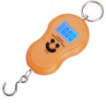 50kg/5g Mini Portable Digital Scale LCD Electronic Hanging Luggage Hook Weight