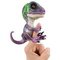 Untamed fingerings dinosaurs-Razor