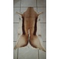 Tanned Springbok Hide - Great For Decor Rugs (In Stock)