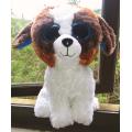 Duke, the big, sparkly eyed. Plush soft toy from TY. 22cm.