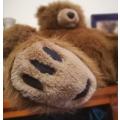 Grizz the Large Huggable Bear!!  50cm.  Great Price!!