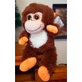 Coconut, the big, sparkley eyed monkey by Laurana Products.  Bargain!  35cm.