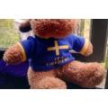 Mikey the Moose with a `It`s Sweden!` blue and yellow T-Shirt. 24cm.