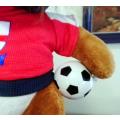 Leo the No 7 England Football Mascot! Lion Soft Toy!  30cm.