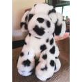 Spotty the Dalmation Puppy!  Plush Soft Toy! 26cm. Good as New!