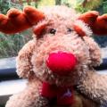 Pip the Moose with a red Christmas scarf. 30cm.