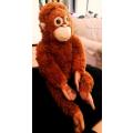 Coconut the Orangutan! A plush soft toy! 60cm.