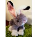 An awesome, super soft Bunny called Hoppity. 20cm.