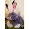 An awesome, super soft Bunny called Hoppity. 20cm.