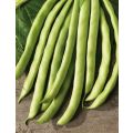 Bean Epicure Pole Organic - 10 Seeds