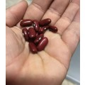 Bean Malawian Red Kidney Organic - 10 Seeds
