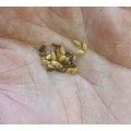 Linseed/Flaxseed Golden Organic - 20 Seeds