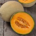 Melon Hales Best Jumbo Organic - 10 Seeds