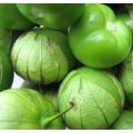 Tomatillo Verde Organic - 15 Seeds