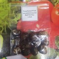 Bean Black Velvet Organic - 10 Seeds