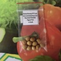 Beans Nandalo Pidgeon Pea (10 Seeds)