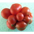 Tomato Reise (10 Seeds)