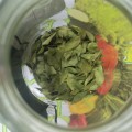 Curry Leaf Dried Herb (10 Gram)