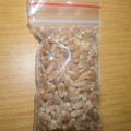 Hard Red Winter Wheat: Grain (5 Grams - Approximately 275 Seeds)