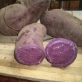 Purple Purple Sweet Potato (3 Rooted Vine Cuttings)