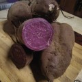 Purple Purple Sweet Potato (3 Rooted Vine Cuttings)