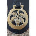 TWO HORSE BRASSES ON A LEATHER STRAP