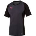 PUMA ORIGNAL EVO TRG TEE FOR MEN SIZE EXTRA LARGE !!!!!! MARKET VALUE R699.99