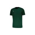 Puma Faster Tee For Men Size XL !!!!!! Value R499.99