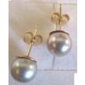 14 ct Solid Gold and Genuine Cultured Pearls Stud/  Earrings