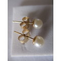 14K Gold and Culture Pearls Earrings/ Studs