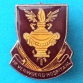 Rare!! Vintage HF VERWOERD HOSPITAAL lapel pin badge!!