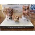 Set of three bone china owl family collectors porcelain