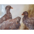 "PONDERING FRANCOLIN" WATER COLOUR BY BARBARA SIEDLE