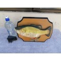 Big Mouth Billy Bass Singing Fish with Power Supply 100% WORKING