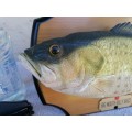 Big Mouth Billy Bass Singing Fish with Power Supply 100% WORKING