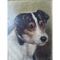 Antique Edward Aistrop (1880-1920) Signed `Portrait of a Fox Terrier`. Oil on Board. 31 x 27cm