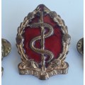 South African Medical Corps (SAGD / SAMC) Badge Set. Cap and 2 x Collar. Lugs / Pins intact.